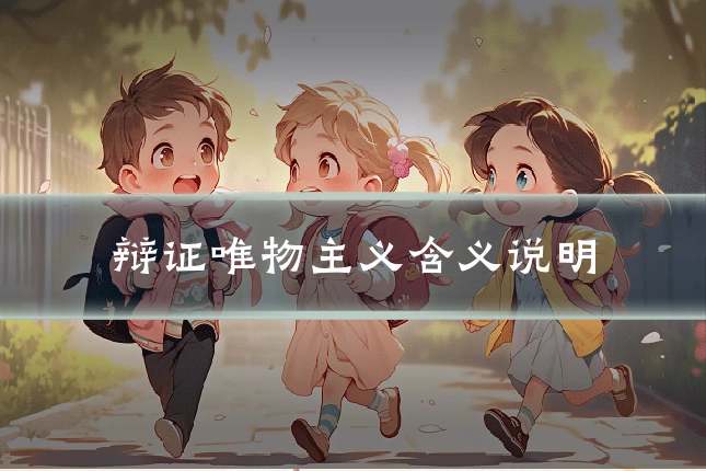 辩证唯物主义含义说明