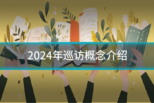 2024年巡访概念介绍