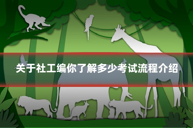 关于社工编你了解多少考试流程介绍