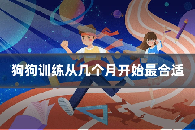 狗狗训练从几个月开始最合适
