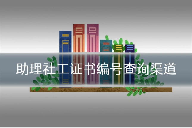 助理社工证书编号查询渠道