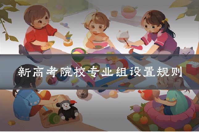 新高考院校专业组设置规则