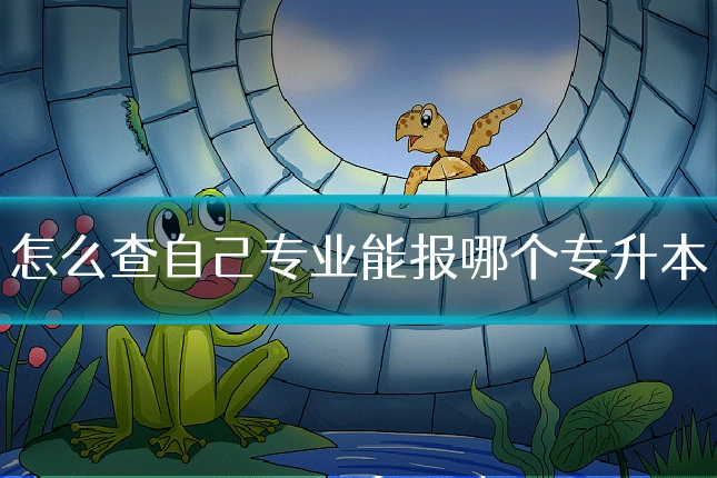 怎么查自己专业能报哪个专升本