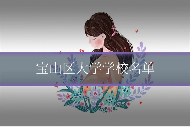 宝山区大学学校名单