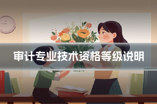 审计专业技术资格等级说明