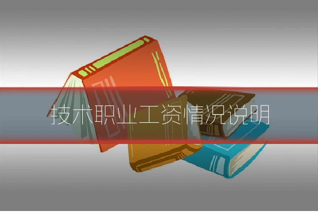 技术职业工资情况说明