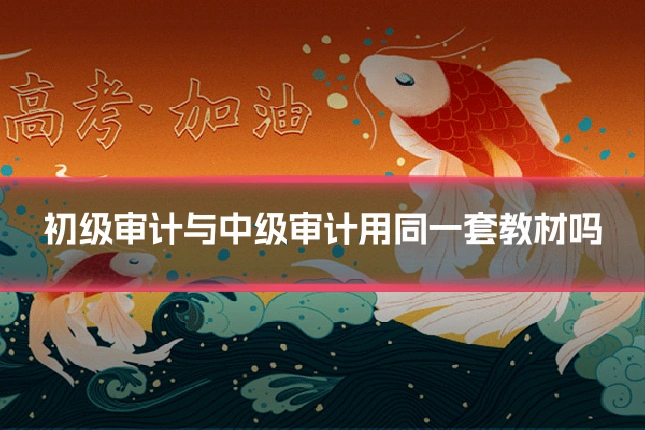 初级审计与中级审计用同一套教材吗