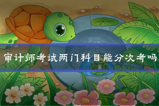 审计师考试两门科目能分次考吗