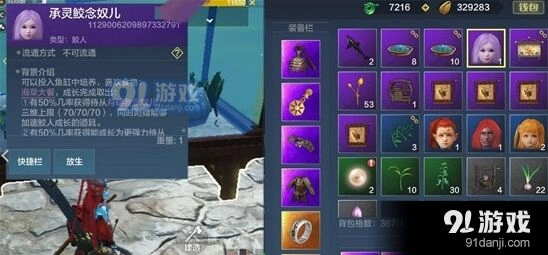 妄想山海小灵儿养成攻略指南