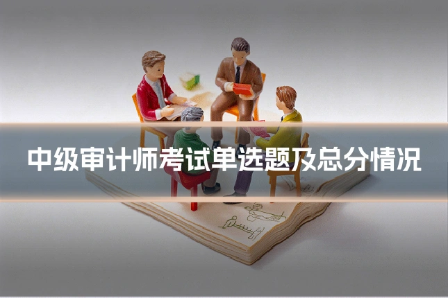 中级审计师考试单选题及总分情况