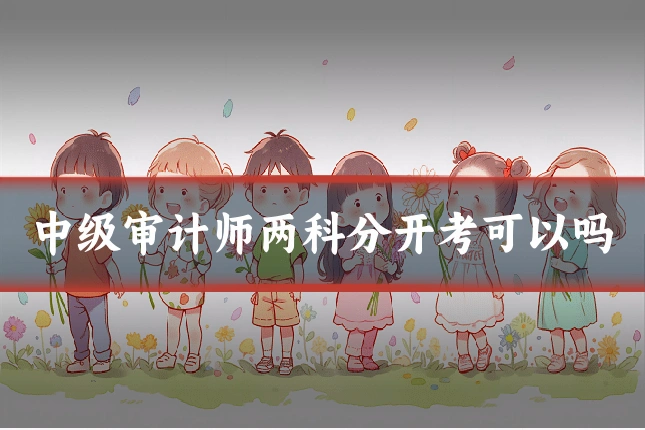 中级审计师两科分开考可以吗