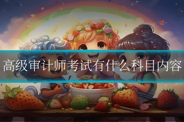 高级审计师考试有什么科目内容