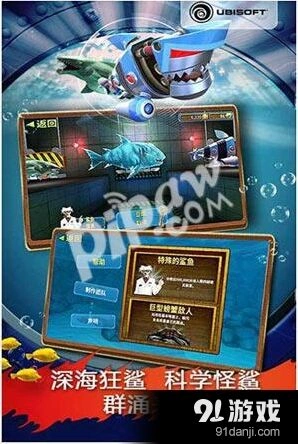 饥饿鲨全鱼类英文名称对照表