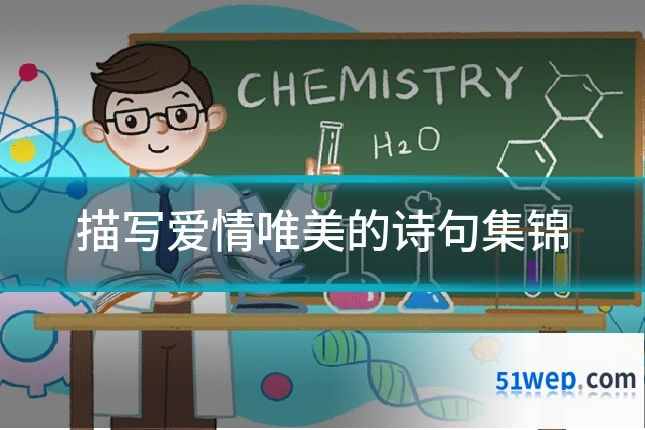 描写爱情唯美的诗句集锦