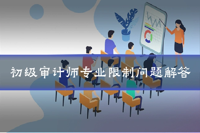 初级审计师专业限制问题解答