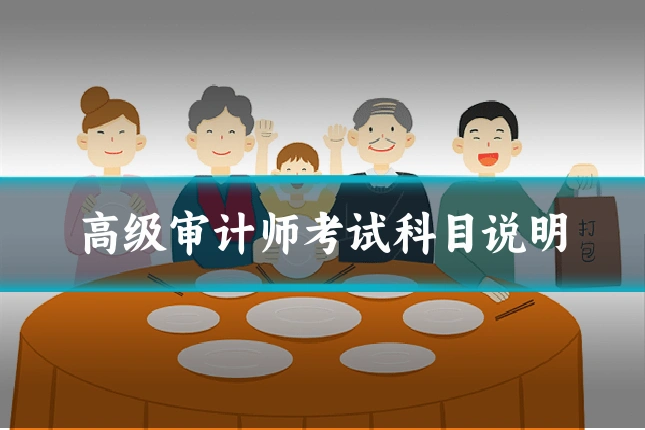 高级审计师考试科目说明