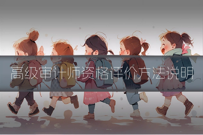 高级审计师资格评价方法说明