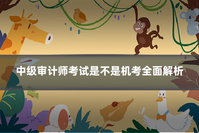 中级审计师考试是不是机考全面解析