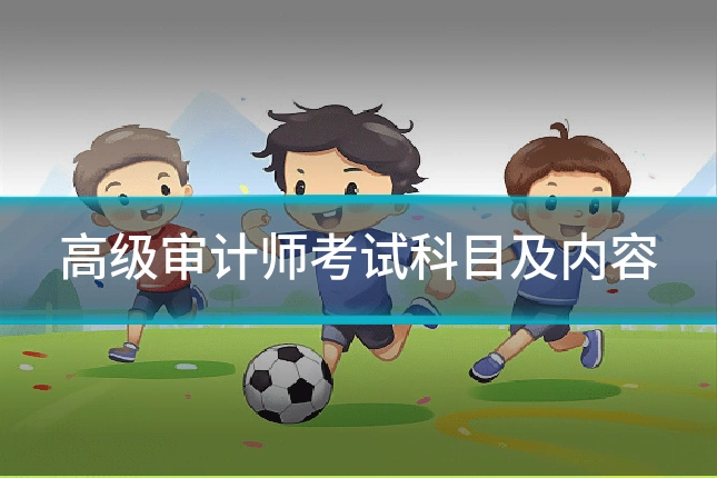 高级审计师考试科目及内容