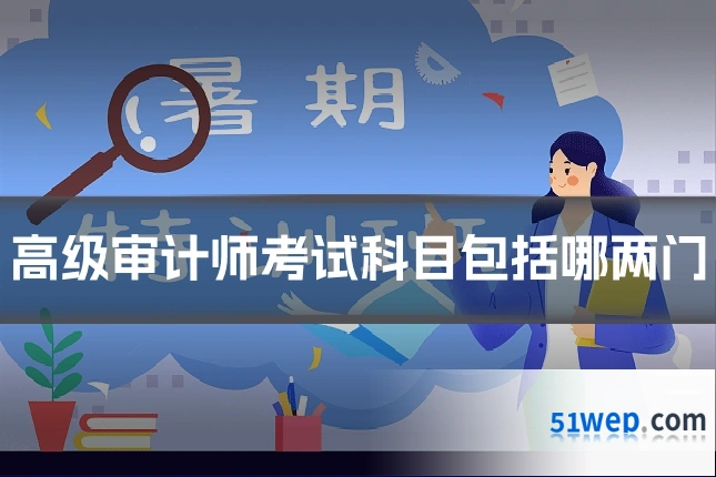 高级审计师考试科目包括哪两门
