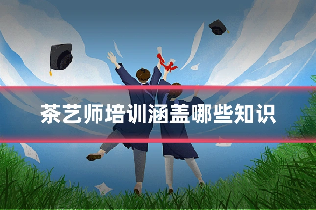 茶艺师培训涵盖哪些知识