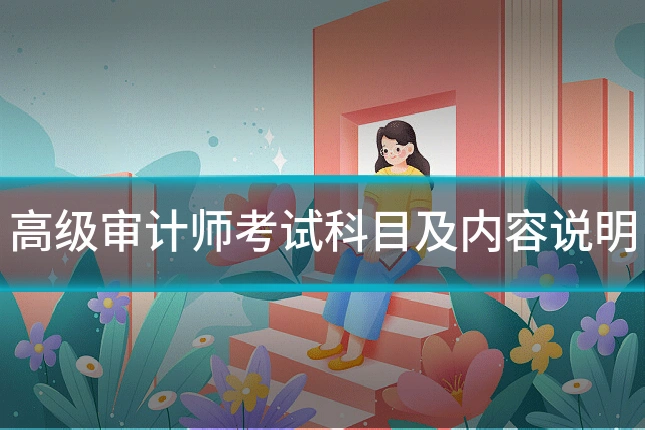 高级审计师考试科目及内容说明