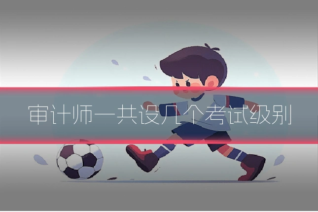 审计师一共设几个考试级别