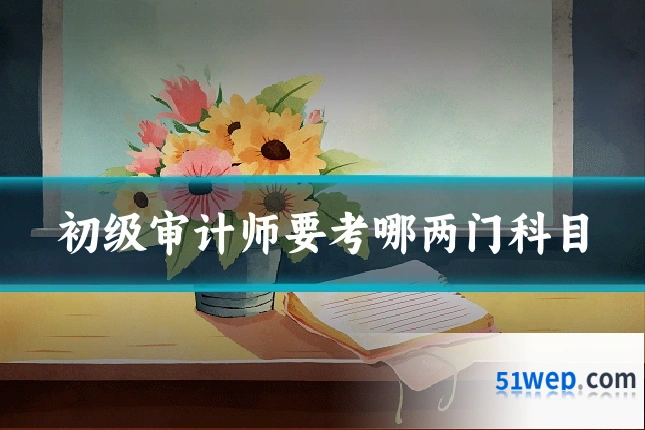 初级审计师要考哪两门科目