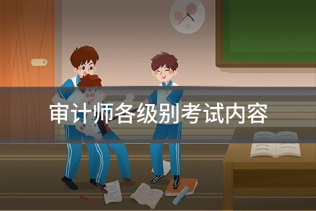 审计师各级别考试内容