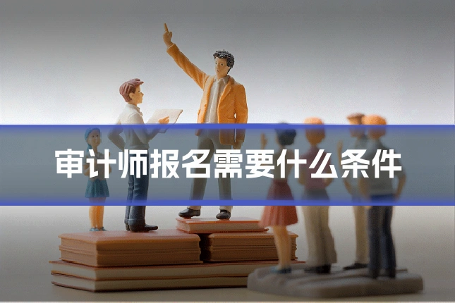 审计师报名需要什么条件