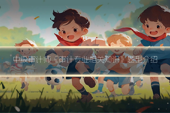 中级审计师《审计专业相关知识》题型介绍
