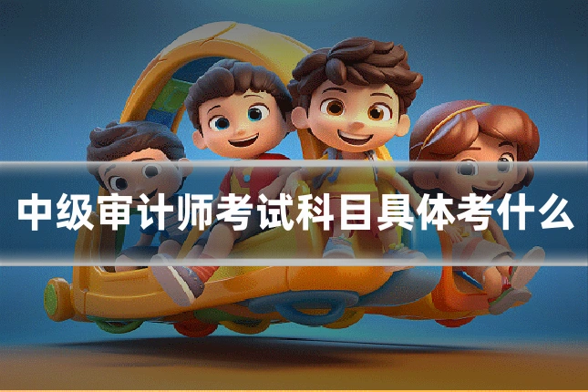 中级审计师考试科目具体考什么