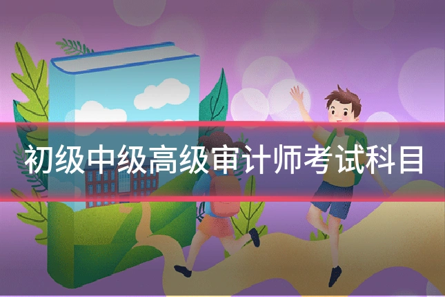 初级中级高级审计师考试科目