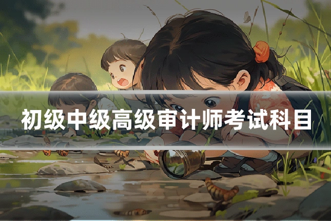 初级中级高级审计师考试科目
