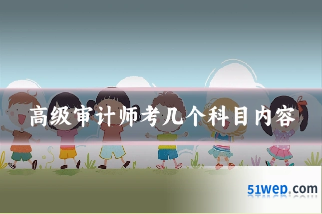 高级审计师考几个科目内容