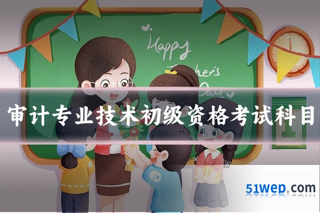 审计专业技术初级资格考试科目