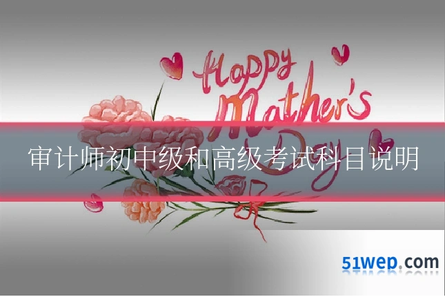 审计师初中级和高级考试科目说明