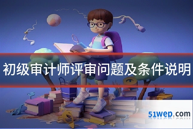 初级审计师评审问题及条件说明