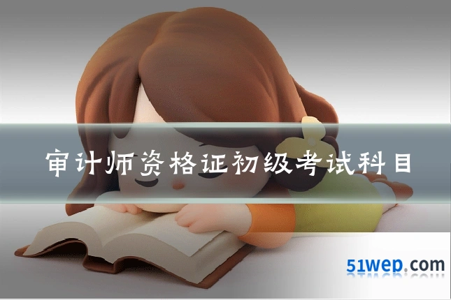 审计师资格证初级考试科目