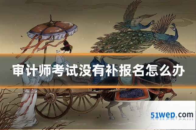 审计师考试没有补报名怎么办