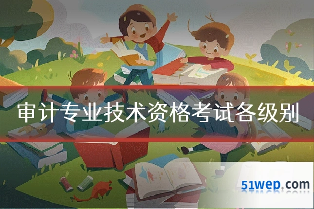审计专业技术资格考试各级别