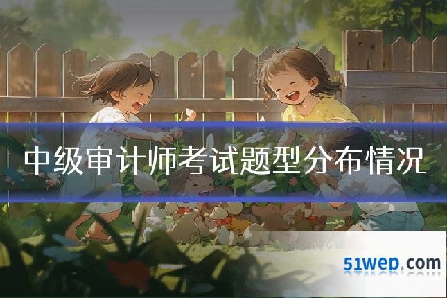中级审计师考试题型分布情况