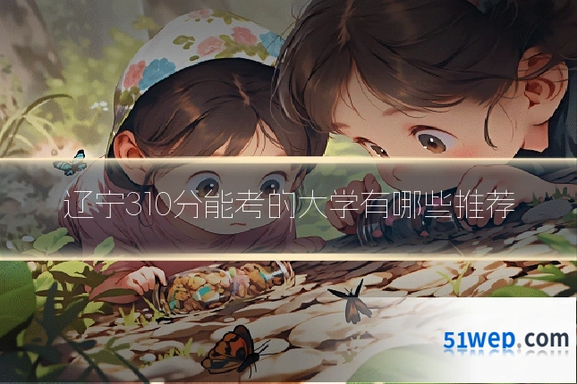 辽宁310分能考的大学有哪些推荐