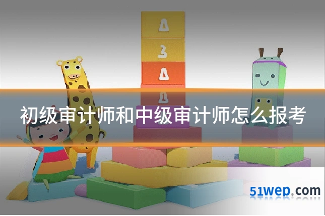 初级审计师和中级审计师怎么报考