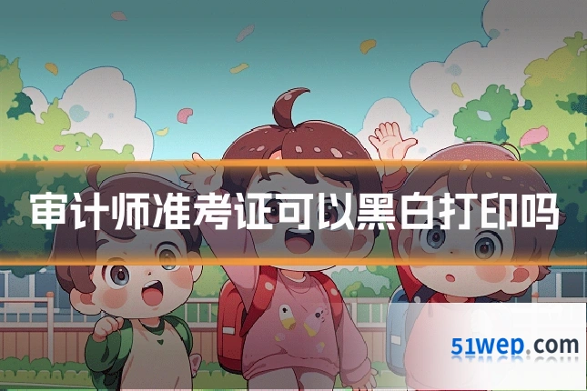 审计师准考证可以黑白打印吗