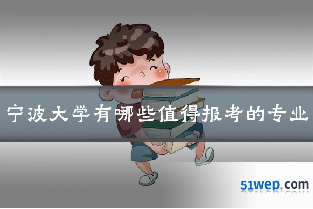 宁波大学有哪些值得报考的专业