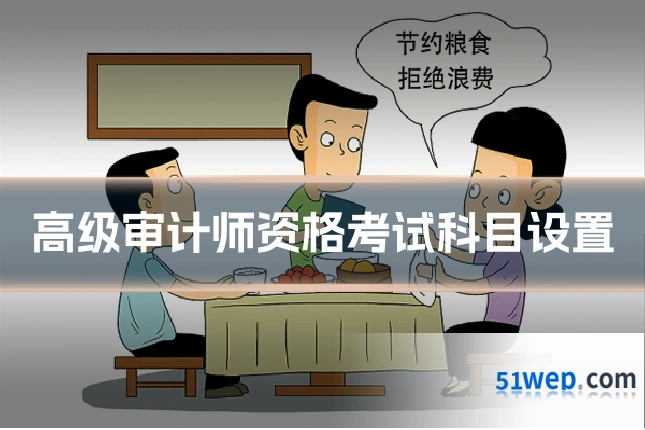 高级审计师资格考试科目设置