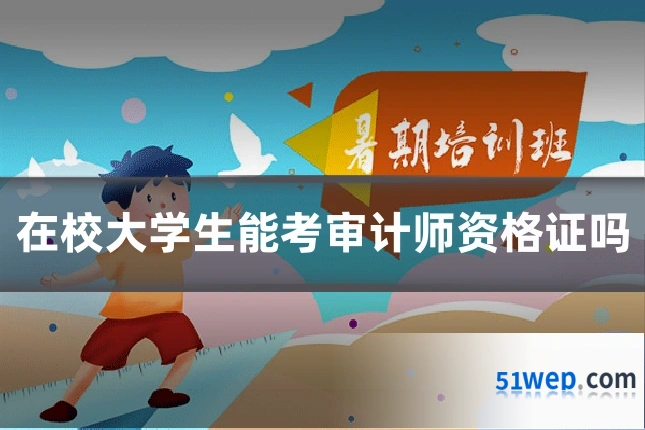 在校大学生能考审计师资格证吗