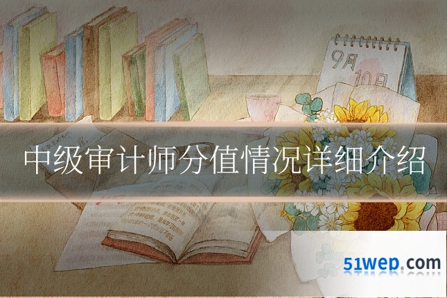 中级审计师分值情况详细介绍