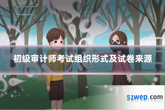 初级审计师考试组织形式及试卷来源